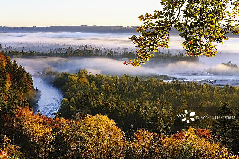 德国巴伐利亚普普林格奥自然保护区日出图片素材