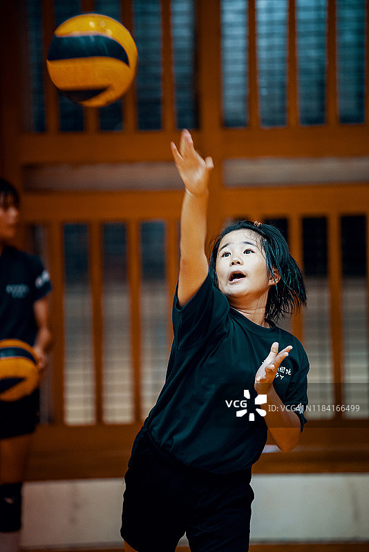 小女孩在学校体育馆打排球团队训练图片素材