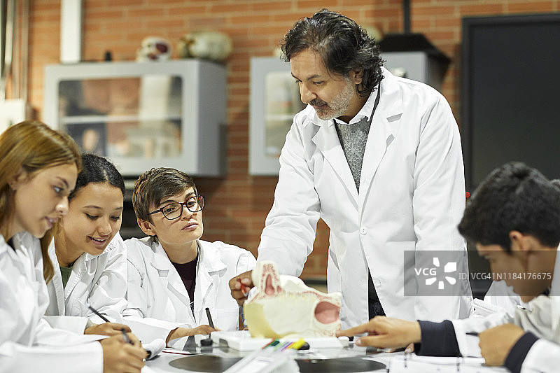 老师为学生讲解动物解剖学图片素材