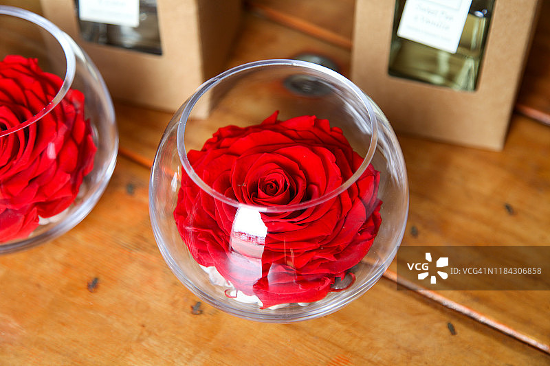 鱼缸里的永生玫瑰图片素材