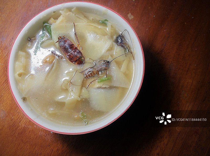 泰式竹笋汤里死去的蟑螂图片素材