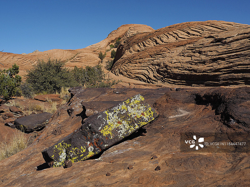 犹他州雪峡谷州立公园砂岩上的彩色地衣图片素材