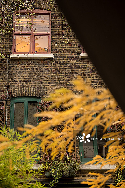 英国伦敦科文特花园尼尔庭院小院里绚丽的窗户和秋色树木图片素材