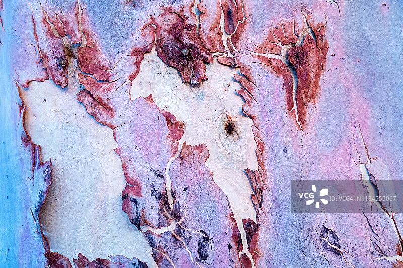 树皮图案粉色、蓝色和紫色调全画幅照片图片素材