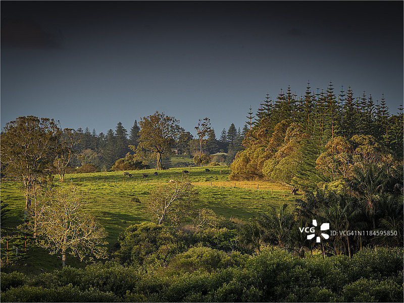 南太平洋诺福克岛朗里奇的乡村风光图片素材
