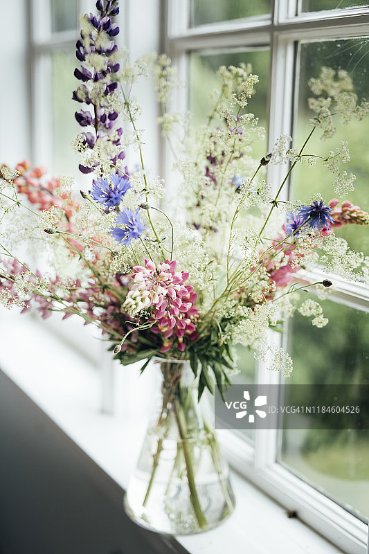 花瓶里的野花图片素材