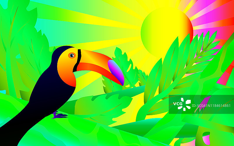 丛林彩虹色插画——丛林中的巨嘴鸟图片素材