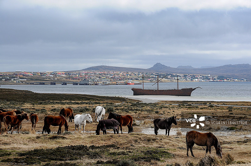 伊丽莎白夫人号的残骸，福克兰群岛图片素材
