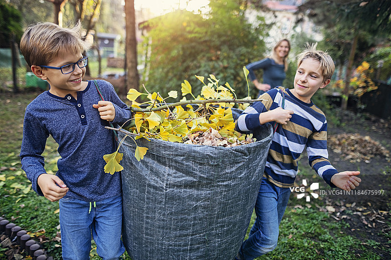 小男孩们收集秋叶堆肥图片素材