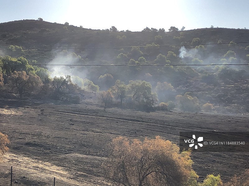 西米谷东部火灾后的烧毁树木和烟雾图片素材
