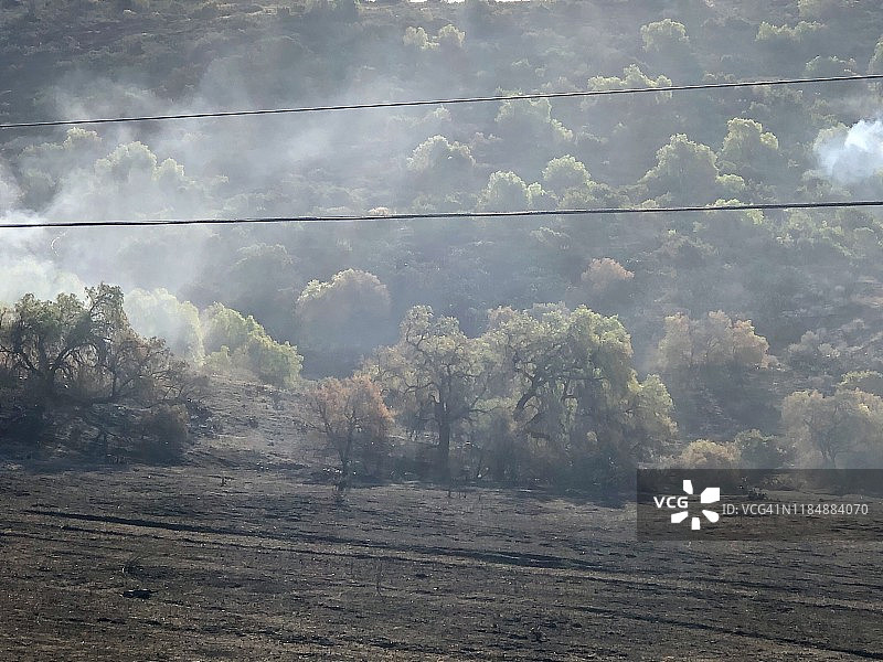 西米谷东部火灾后的烧毁树木和烟雾图片素材