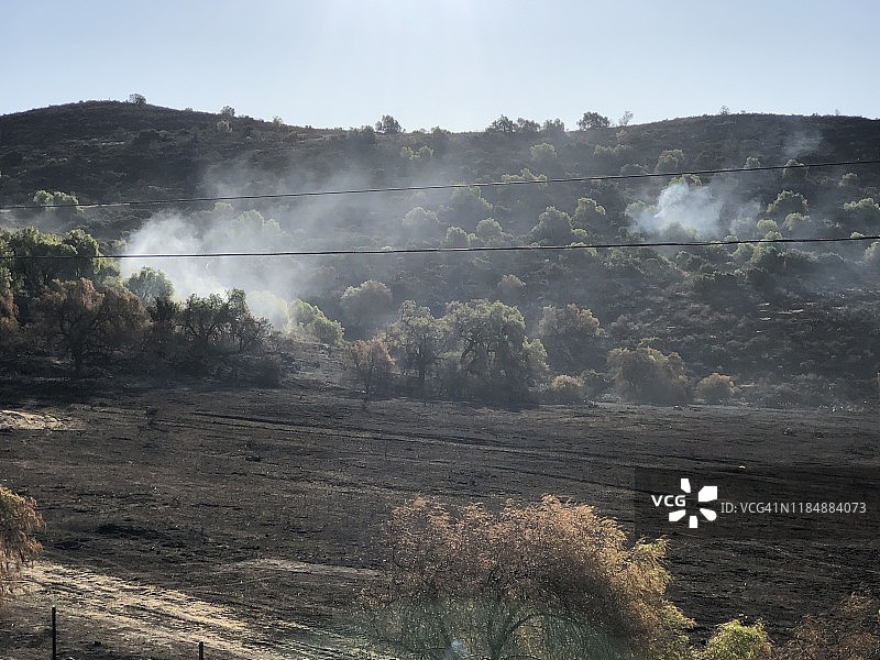 西米谷东部火灾后的烧毁树木和烟雾图片素材