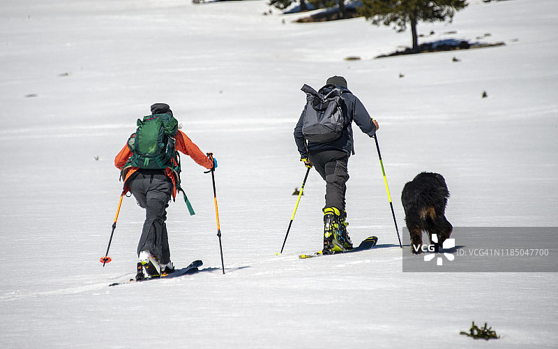 在罗马尼亚喀尔巴阡山脉徒步旅行的两个滑雪者和他们的伯恩山犬图片素材