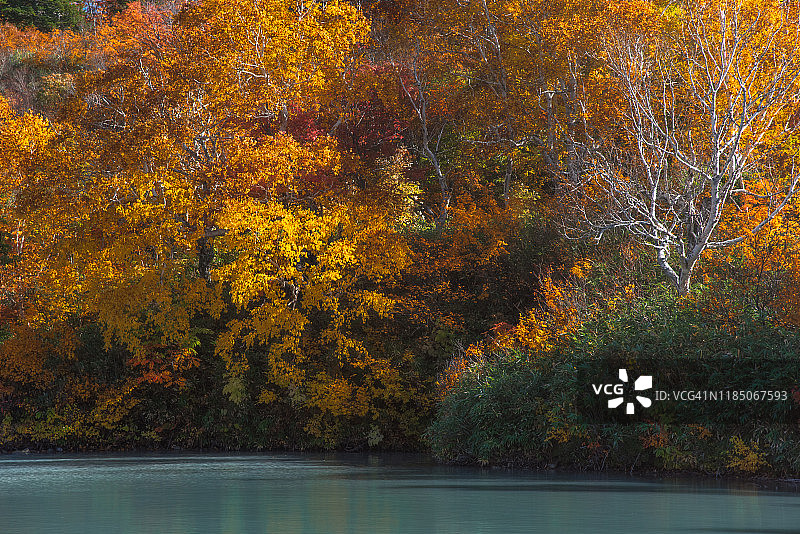 地狱沼图片素材