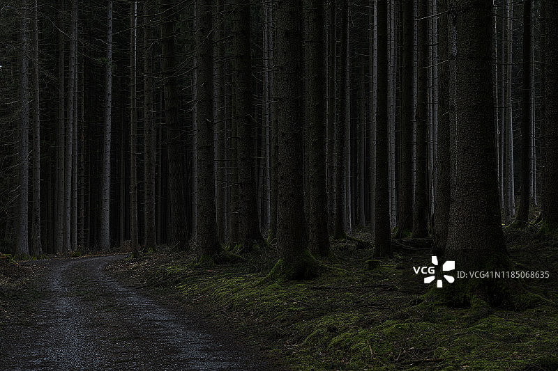 巴伐利亚斯佩萨特清晨阴森的森林小路图片素材