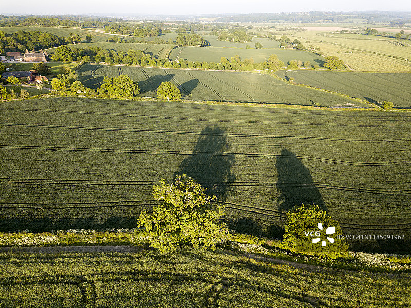 2018年英格兰东萨塞克斯郡，农田中的绿树成荫的道路图片素材