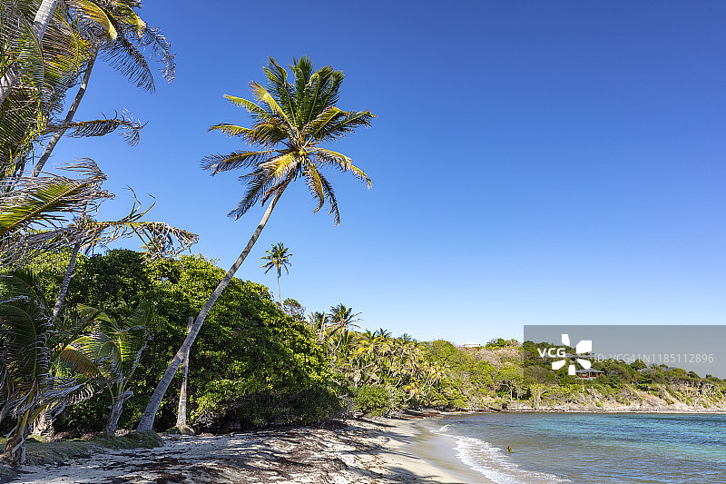 圣文森特和格林纳丁斯贝基亚岛向风面的斯普林湾偏远海滩，2019年图片素材
