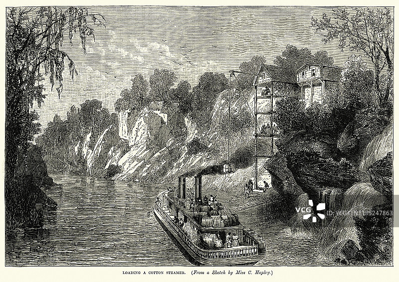 19世纪美国南部装载棉花轮船图片素材