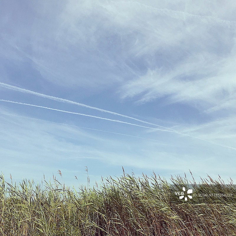 沼泽草地上方明亮的蓝天图片素材