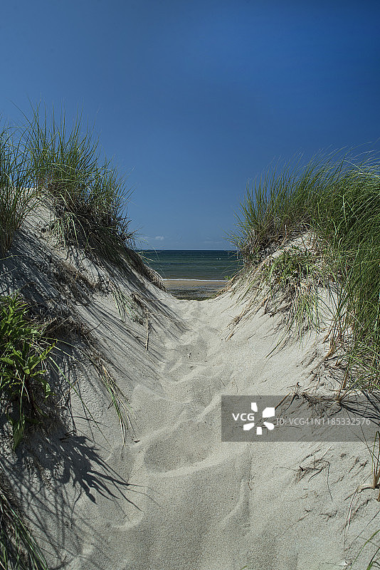韦尔弗利特科德角鸭港附近的迷人海滩图片素材
