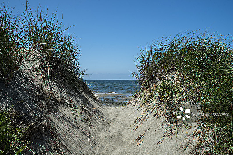 韦尔弗利特科德角鸭港附近的迷人海滩图片素材