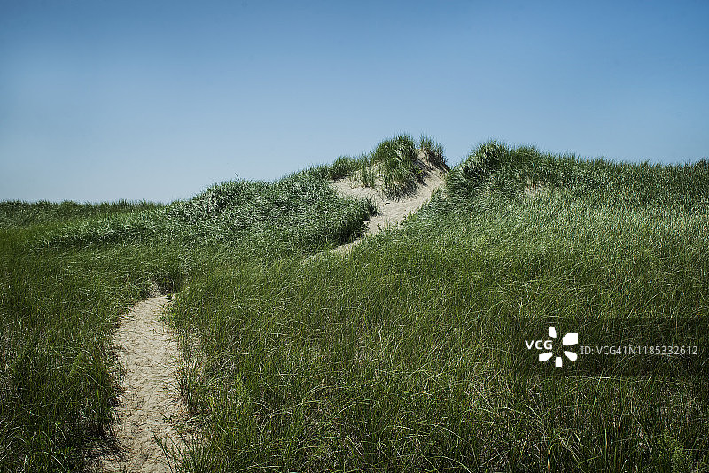 韦尔弗利特科德角鸭港附近的迷人海滩图片素材