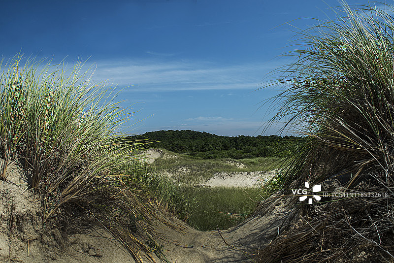 韦尔弗利特科德角鸭港附近的迷人海滩图片素材