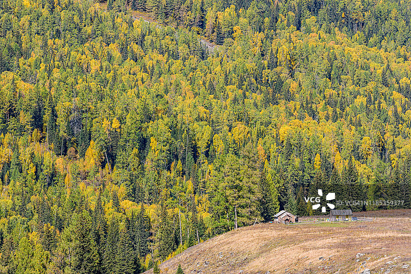 中国新疆喀纳斯河卧龙湾景色图片素材