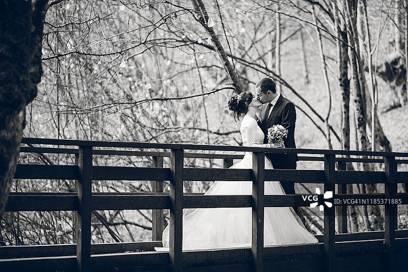 新婚夫妇在自然风光中的桥上图片素材