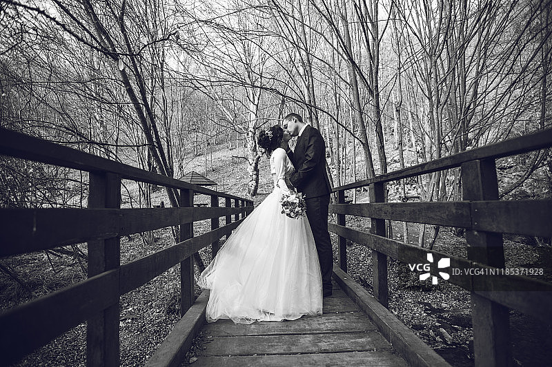 新婚夫妇在自然风光中的桥上图片素材