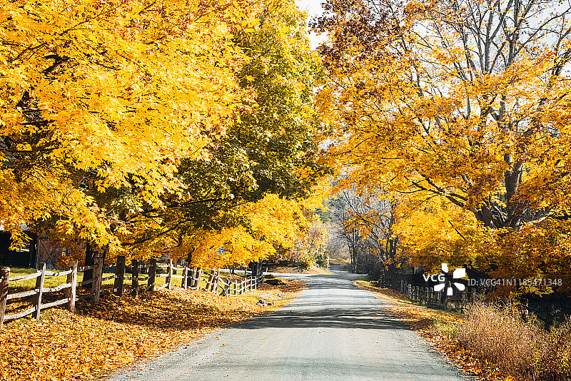 佛蒙特州的秋日公路图片素材