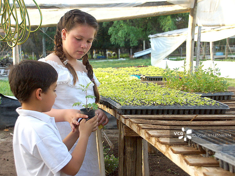 在果园里工作图片素材