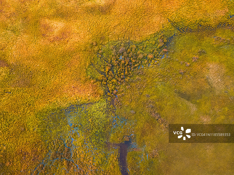 陆地上生长的草地航拍图片素材