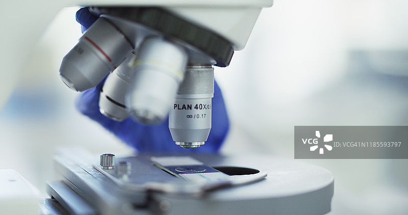 你需要做的就是看图片素材