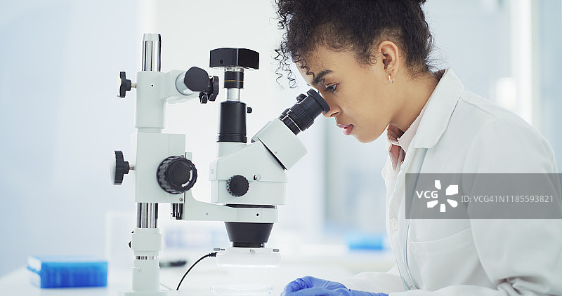显微镜让你确信无疑图片素材