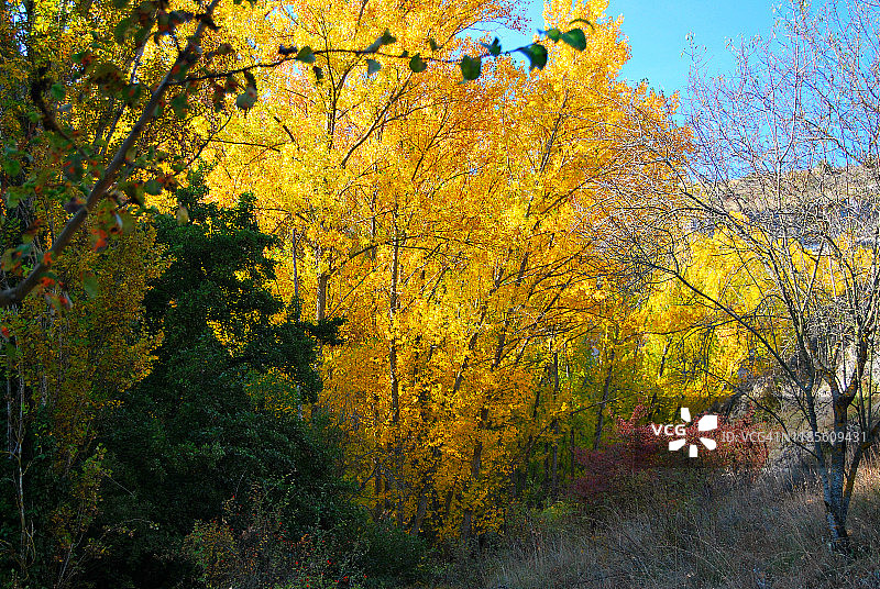 杜拉顿河峡谷，塞哥维亚图片素材