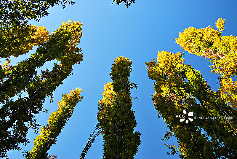 杜拉顿河峡谷，塞哥维亚图片素材
