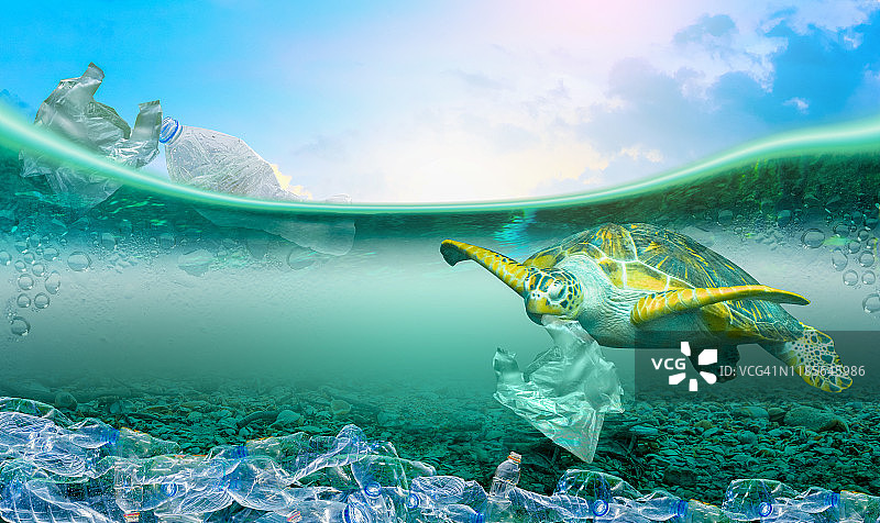 海洋环境问题中的塑料污染，海洋动物无法生存。（环境概念）图片素材