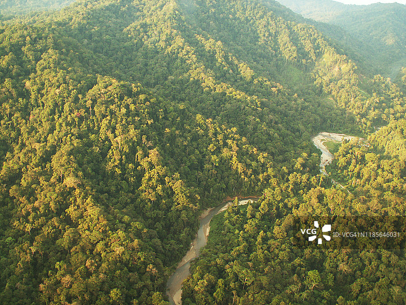 黄金勘探营地图片素材