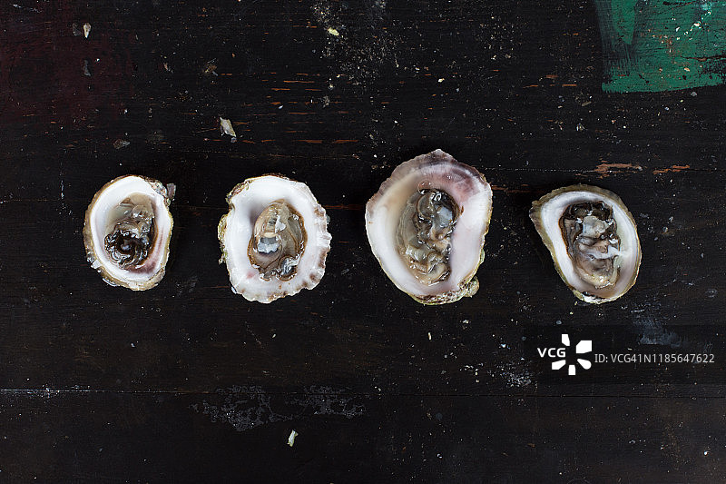 新鲜生蚝图片素材