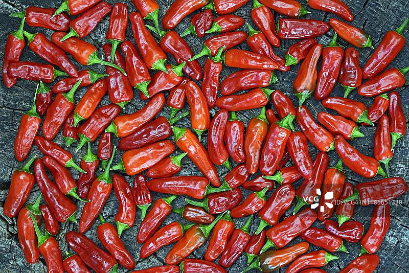 摊开晾干的红辣椒，德国图片素材