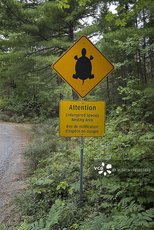 前方道路警告标志：注意乌龟，加拿大新斯科舍省克基姆库吉克国家公园图片素材