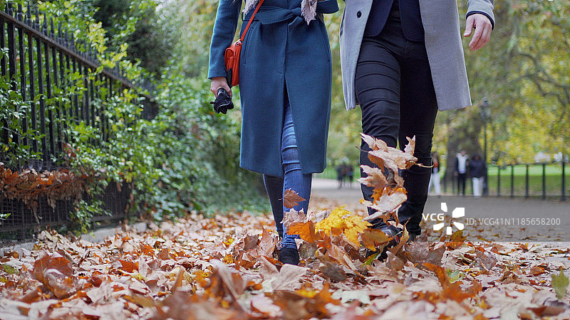 一对年轻夫妇一起踢树叶图片素材