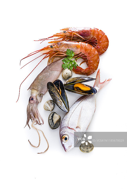 白色背景上的一组生海鲜图片素材