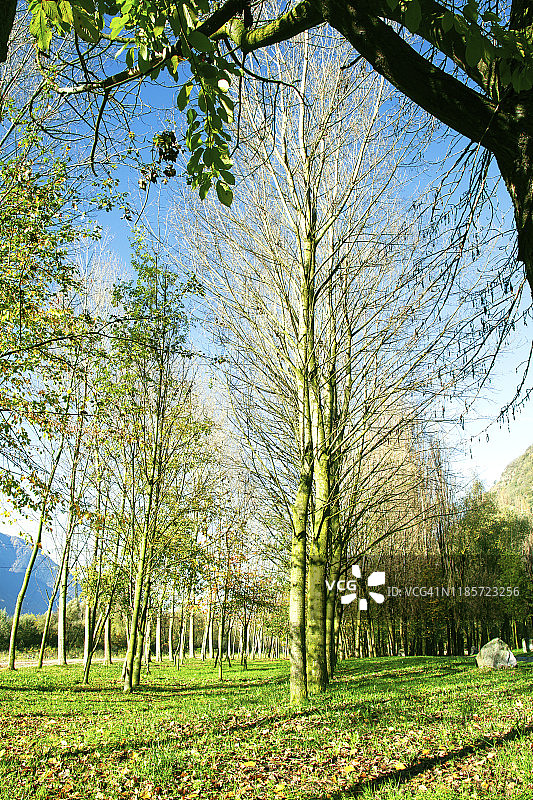 绿色自然风光图片素材