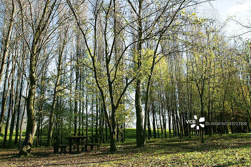 绿色自然风光图片素材