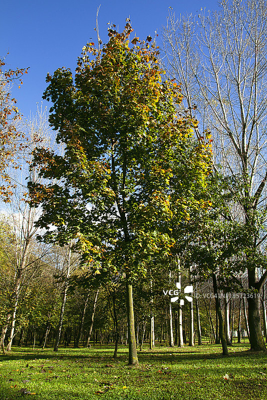 绿色自然风光图片素材