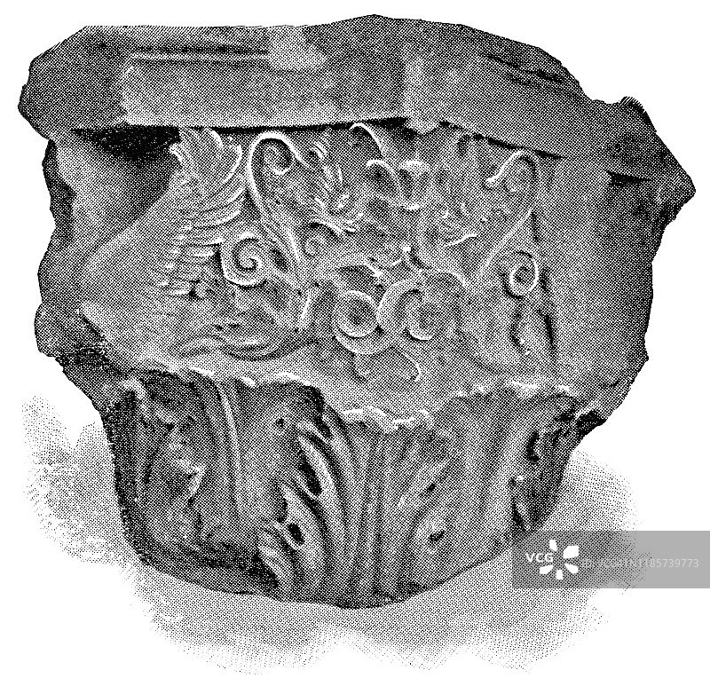 19世纪科林斯风格柱头图片素材