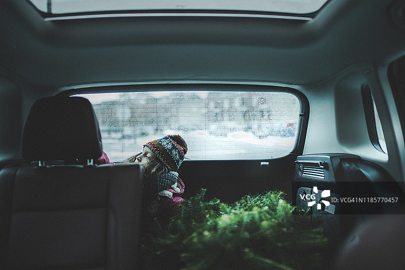 在汽车后备箱里带圣诞树回家的小女孩图片素材