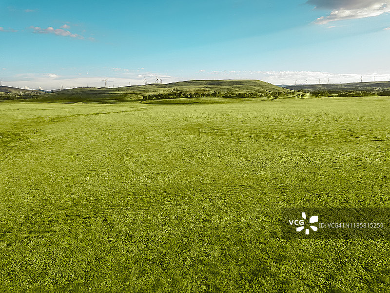 晴空下绿色草甸鸟瞰图图片素材